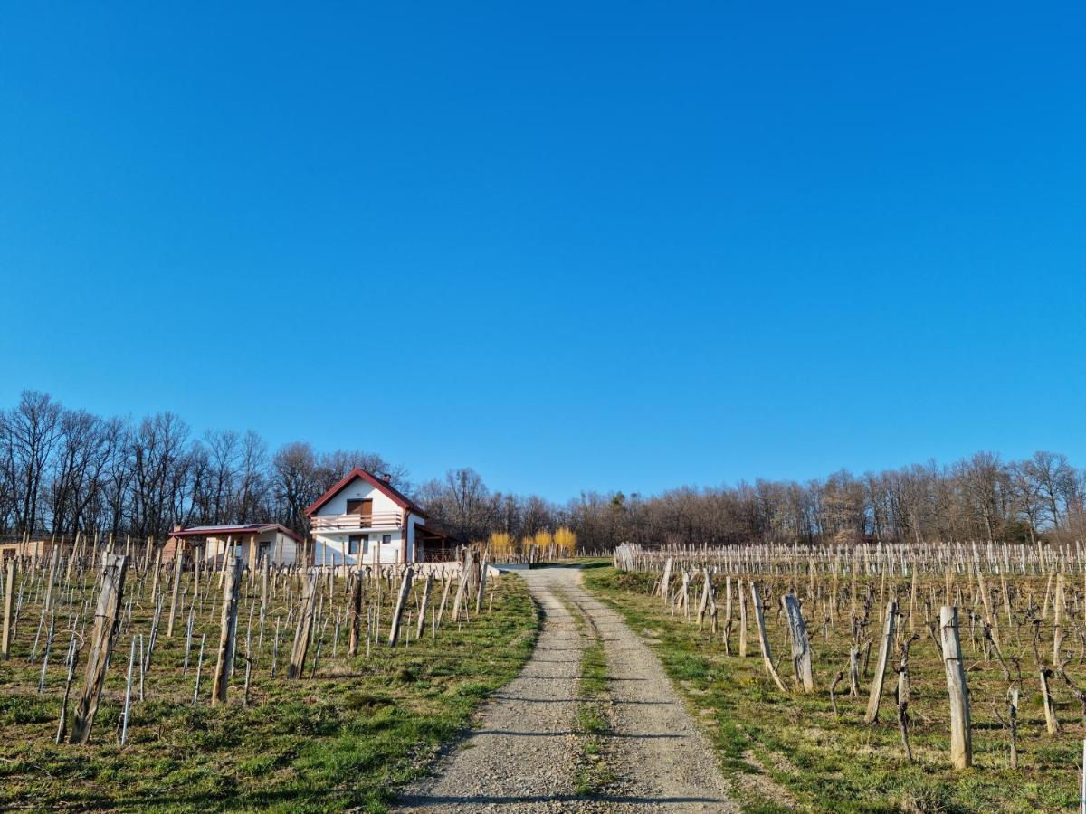 Kuca Za Odmor Baron Villa Kutjevo Ngoại thất bức ảnh