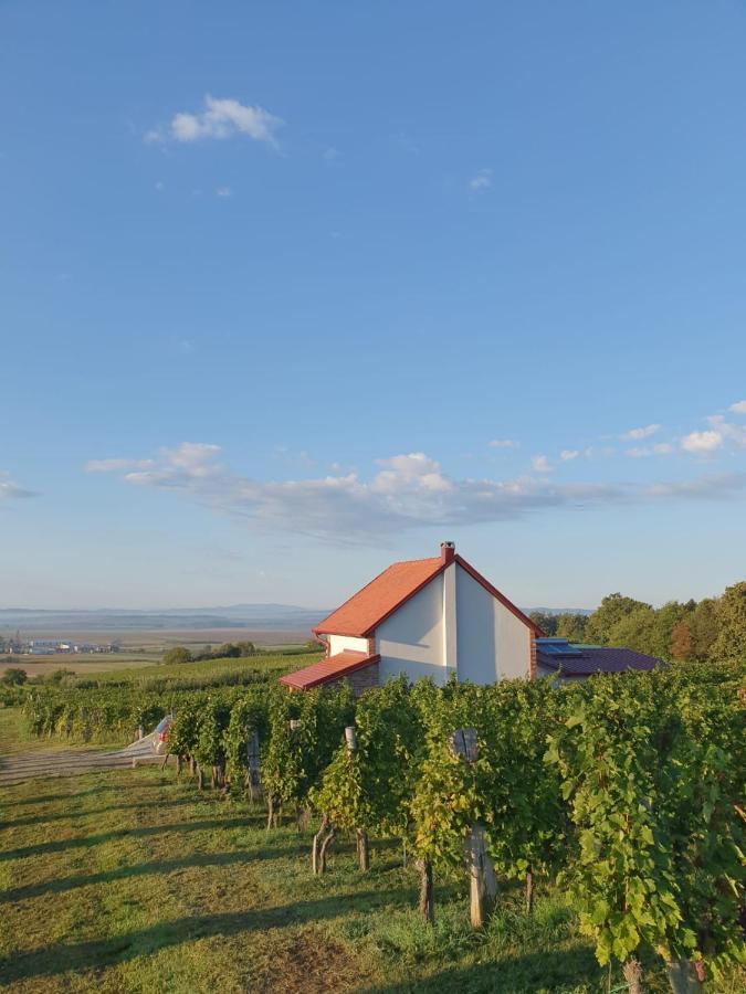 Kuca Za Odmor Baron Villa Kutjevo Ngoại thất bức ảnh