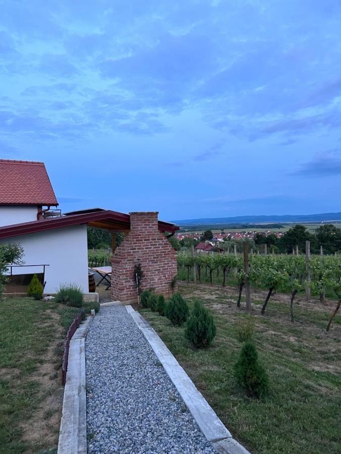 Kuca Za Odmor Baron Villa Kutjevo Ngoại thất bức ảnh